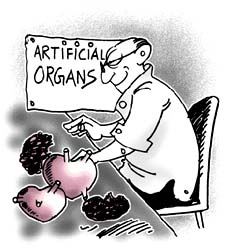 Making organs 
