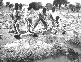 In favour of wetlands 