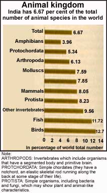 CONSERVATION TO DEATH