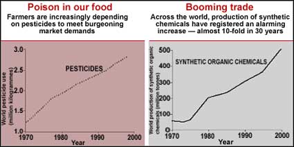 Deadly increase 