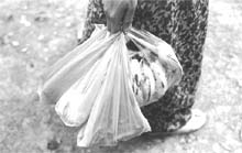 Ban on plastic bags