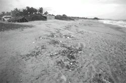 Goa bans plastic bags
