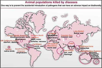 Death by disease