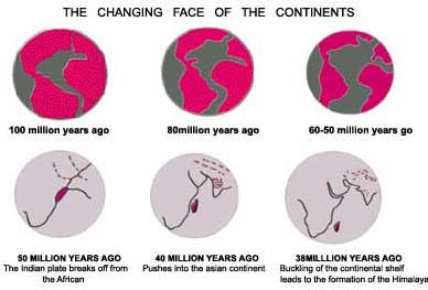 Continental drift  