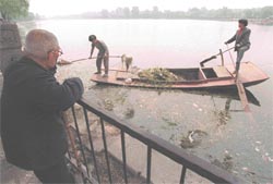 Water: too little, too polluted