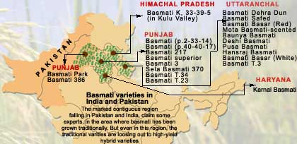 Neighbour`s envy, Pakistan`s rice