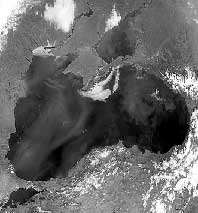 Blackening sea  