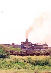 Polluters  haven 
