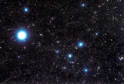 Discovering the starlet