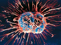 Cervical cancer on the rise