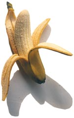 Bananas in danger