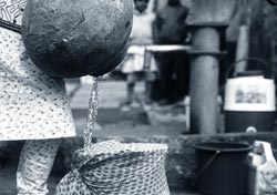 Stopping cholera with a sari