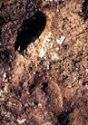 Lasting imprint