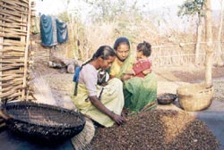 Orissa`s stick is Chhattisgarh s carrot