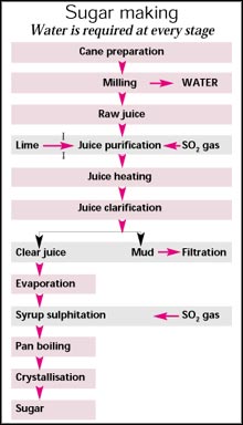 Water from sugarcane