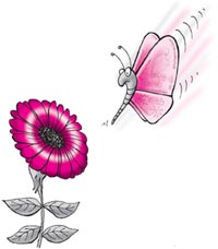 Pollen travails