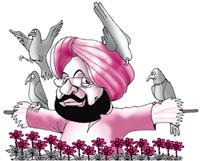 Ploughing on in Punjab