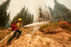 US wildfire act could aid timber industry
