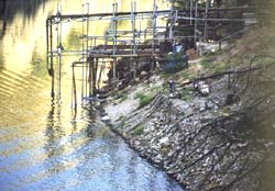 The drying up of the Jaisamand lake