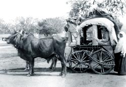 Missionary women doctors in nineteenth century Delhi