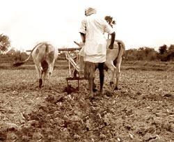 A debt ridden state can offer little to its indebted farmers