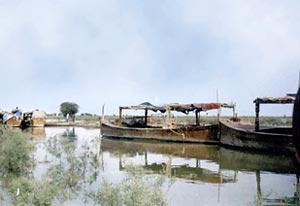 Lake Manchar is dead