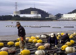 Power plant turns gas chamber