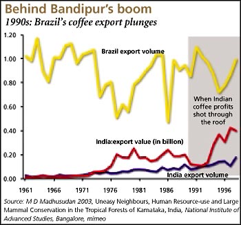 The Bandipur Brazil corridor