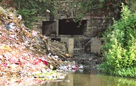 Why is the Yamuna so polluted?