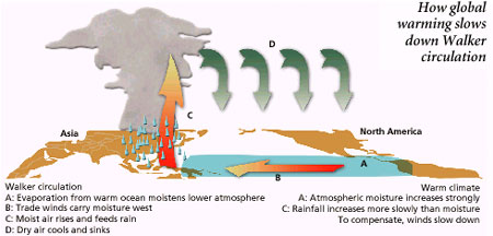 Global warming hits Walker circulation