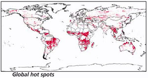 Forest fire atlas to provide information realtime