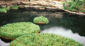 Floating islands of the world