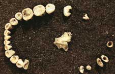 4,500 year old skeleton discovered in Mexico