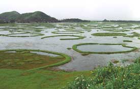 Manipur Loktak lake bill tabled in the assembly