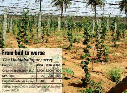 Farmers in Doddaballapur in Karnataka say no to organic farming