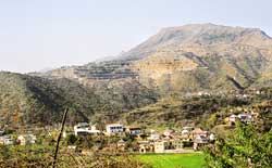 Himachal denotifies sanctuaries for hydel projects
