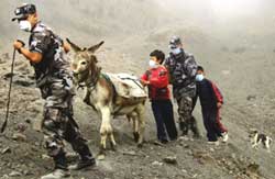 Volcanic eruption in Ecuador kills four