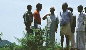 High yields in Andhra`s pesticide free village