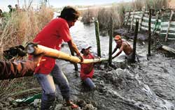 Indonesia to dump hot mud in Java Sea
