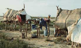 Urban plan for Sindh coastal belt will hit fisherfolk, biodiversity