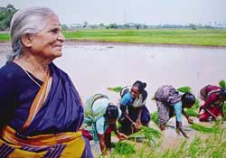 Tsunami hit farmers of Nagapattinam against prawn industry