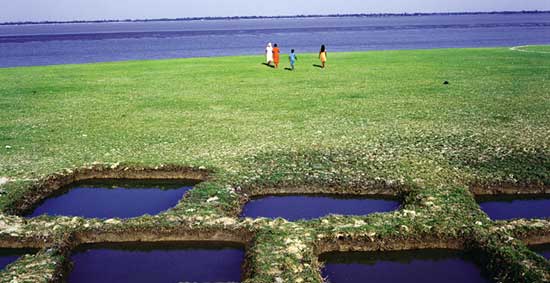 Rising sea levels and tidal erosion eating up Sunderbans