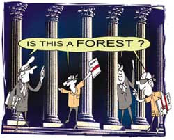 SC & Centre wrangle over forest committee
