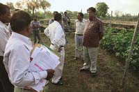 GM field trials now need panchayat nod