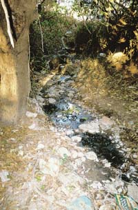 Industry fouls groundwater in Goa