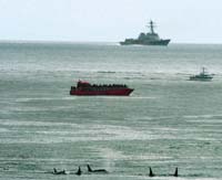 Sonar exemption for US Navy angers environmentalists