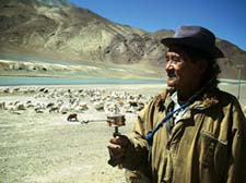 Ladakh`s nomads could lose lifeline to sanctuary