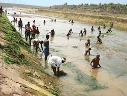 Bureaucracy restricts potential of Orissa`s <i>pani</i> panchayats  