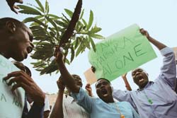 Uganda protests over sugar plantation on forestland