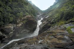 Kerala clears Pathrakkadavu hydroelectric project near national park